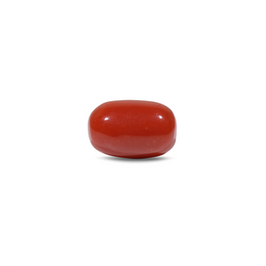 Red Coral - 9.55 Carat - Pramogh