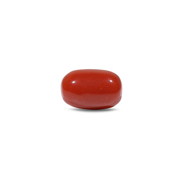 Red Coral - 9.55 Carat - Pramogh