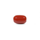 Red Coral - 9.55 Carat - Pramogh