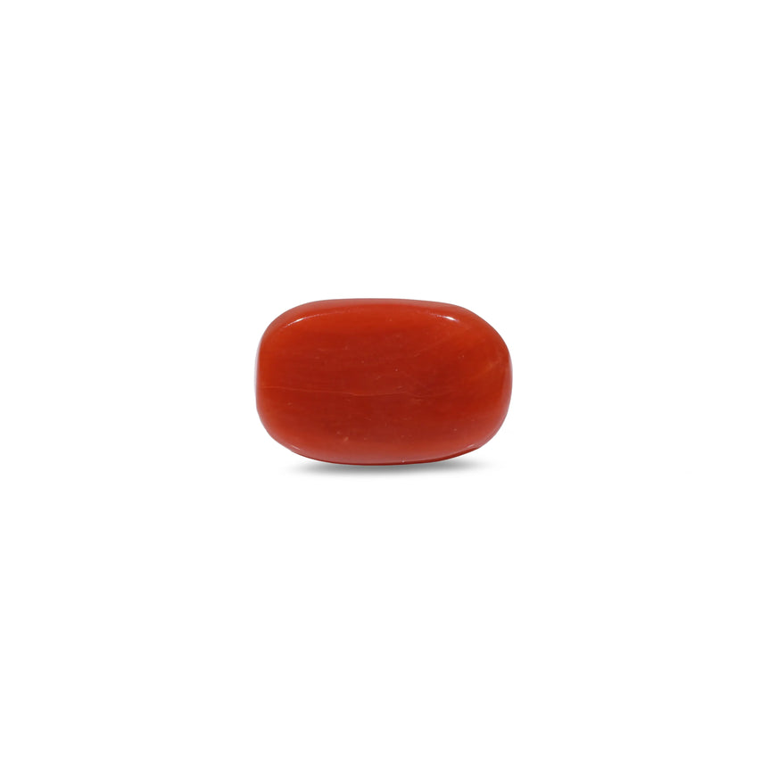 Red Coral - 9.55 Carat