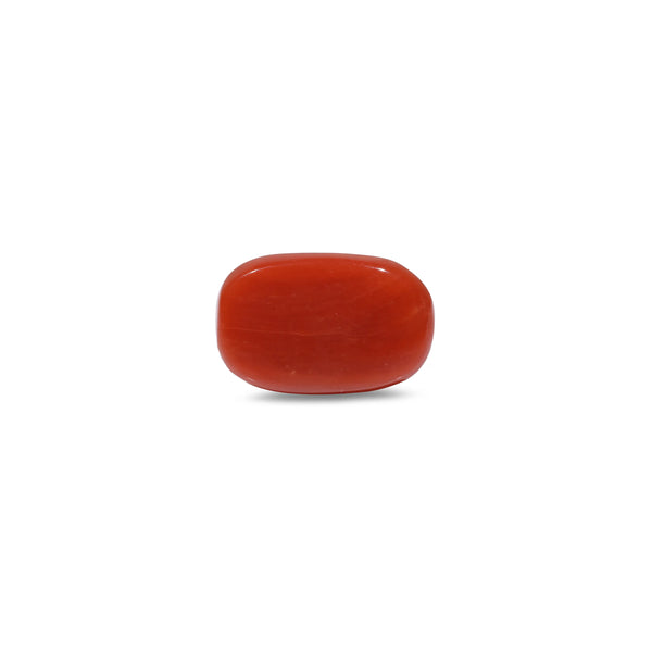 Red Coral - 9.55 Carat