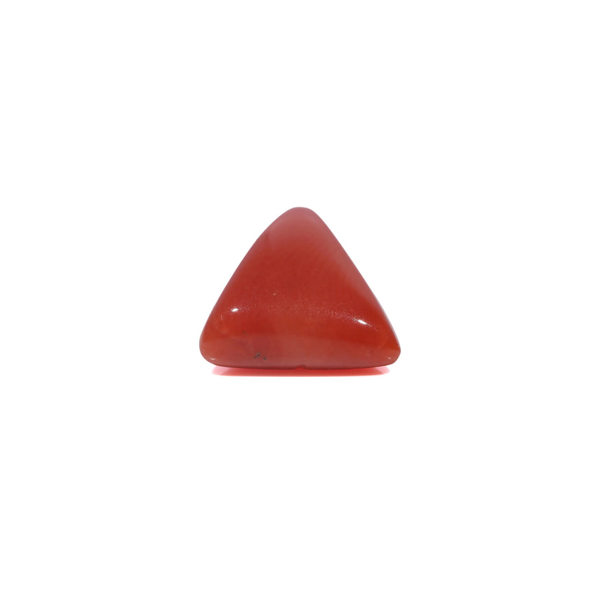 Red Coral - 3.25 Carat