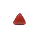 Red Coral - 3.92 Carat - Pramogh