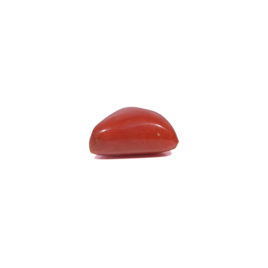 Red Coral - 3.92 Carat