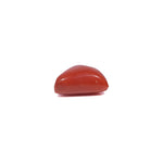 Red Coral - 3.92 Carat