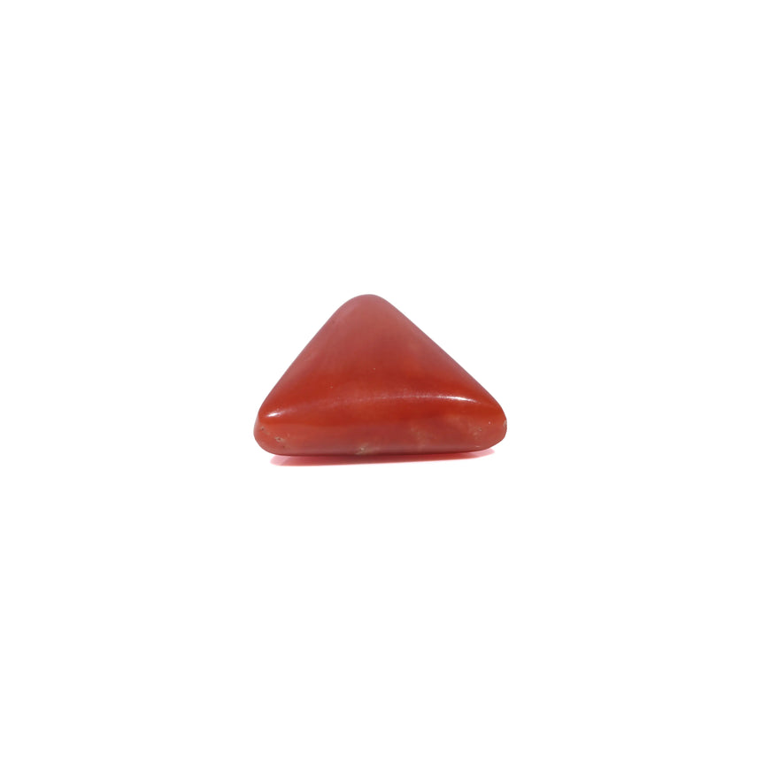 Red Coral - 3.5 Carat