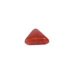 Red Coral - 3.5 Carat