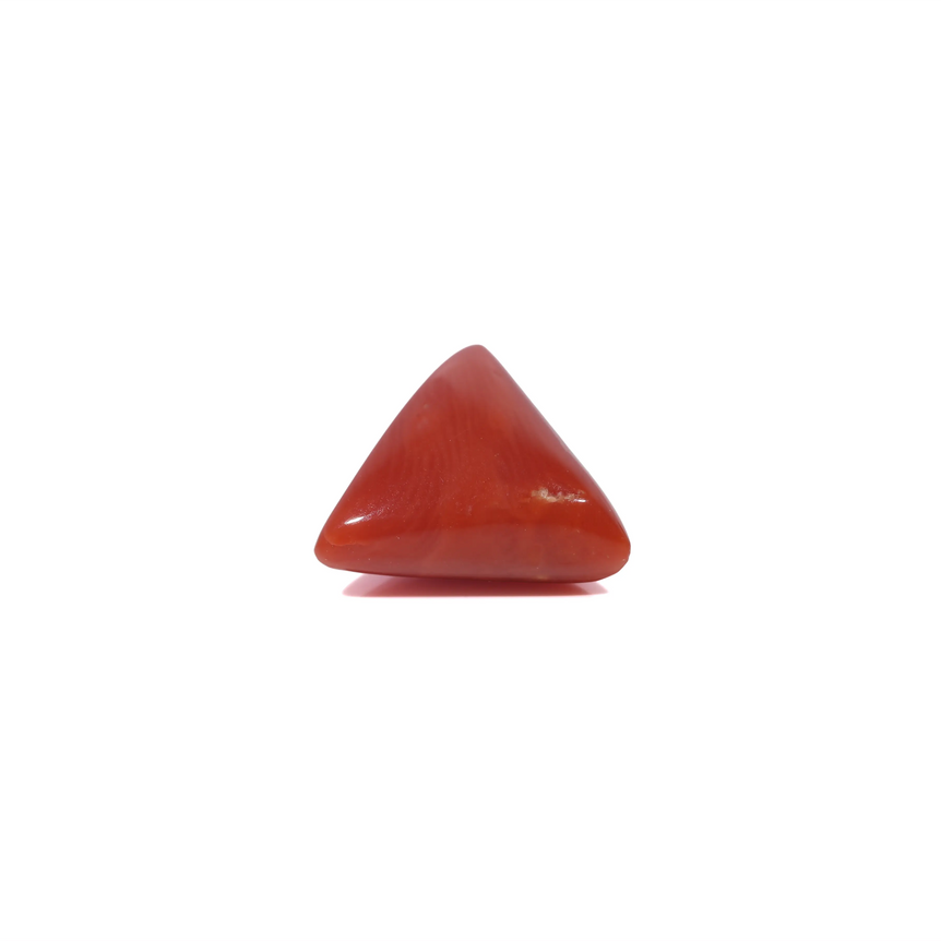 Red Coral - 3.65 Carat