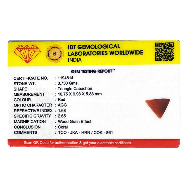 Red Coral - 3.65 Carat