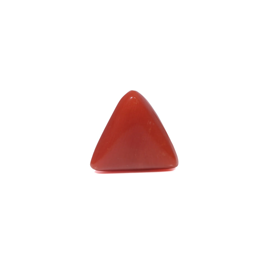 Red Coral - 3.85 Carat