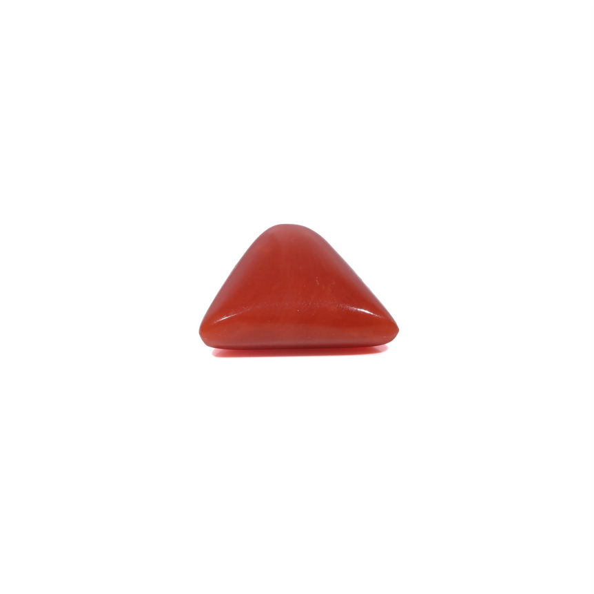 Red Coral - 3.85 Carat