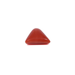 Red Coral - 3.85 Carat