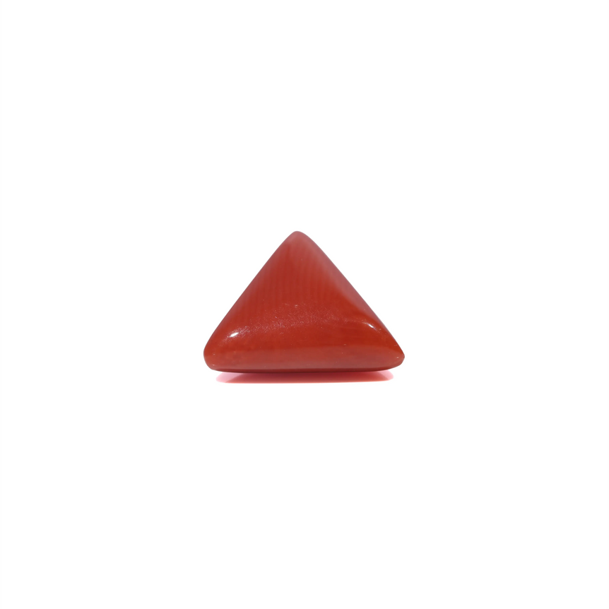 Red Coral - 3.65 Carat