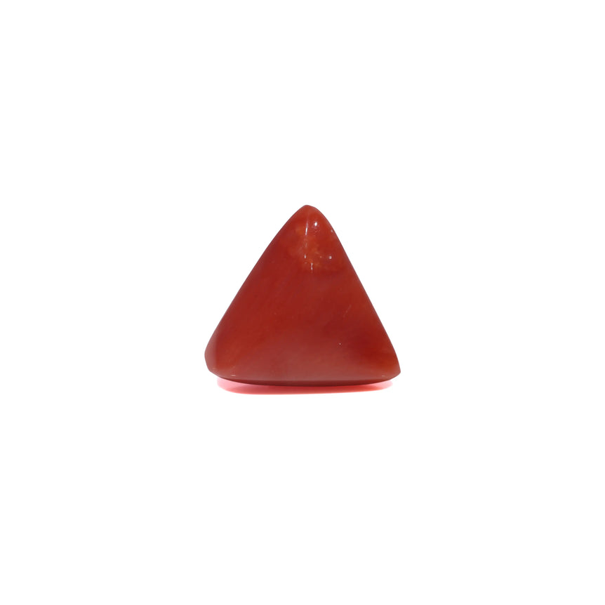 Red Coral - 3.85 Carat
