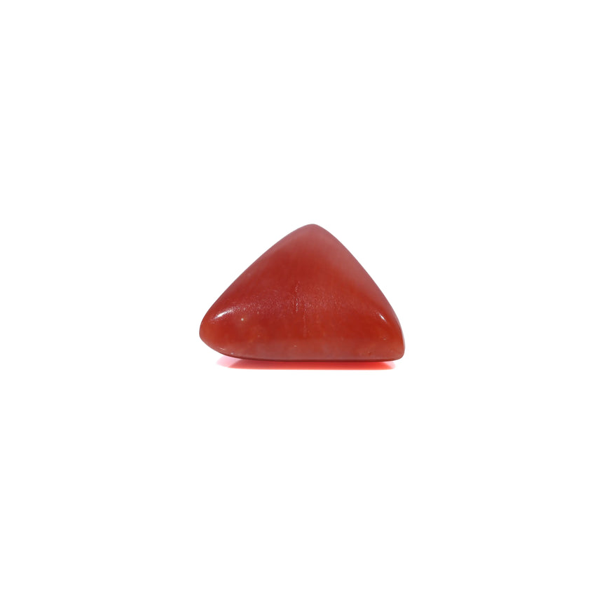 Red Coral - 3.85 Carat