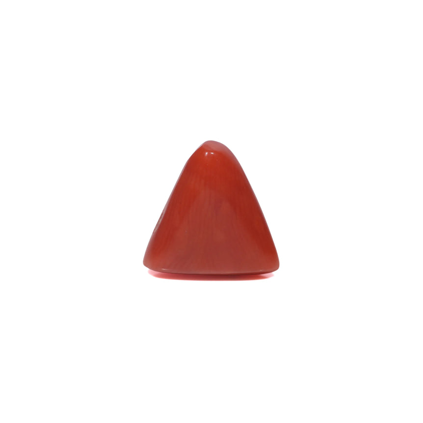 Red Coral - 3.73 Carat