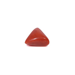 Red Coral - 3.73 Carat