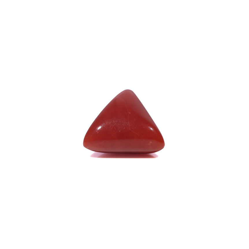 Red Coral - 3.88 Carat