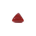 Red Coral - 3.88 Carat