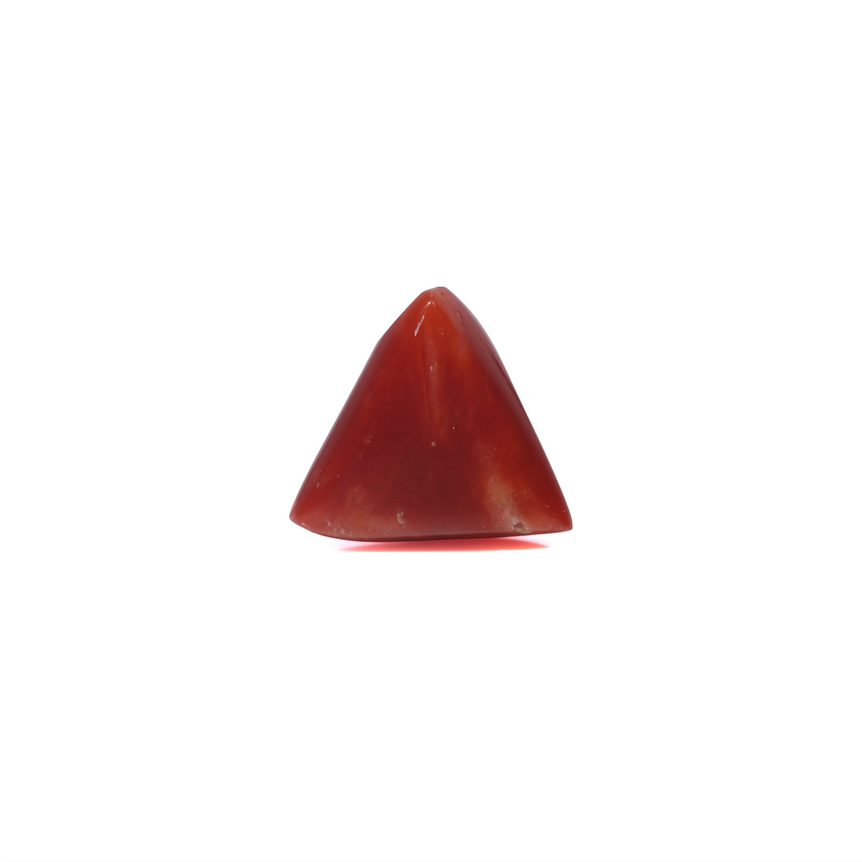 Red Coral - 3.6 Carat