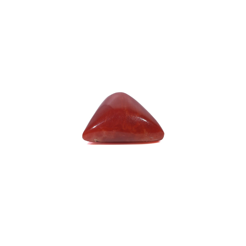 Red Coral - 3.6 Carat