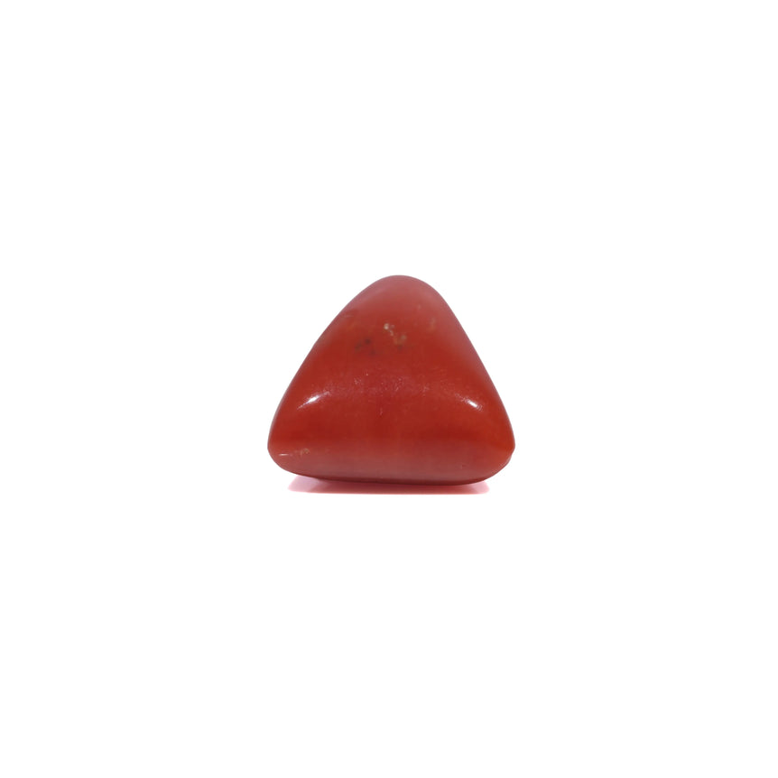 Red Coral - 3.78 Carat