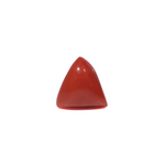 Red Coral - 3.6 Carat - Pramogh
