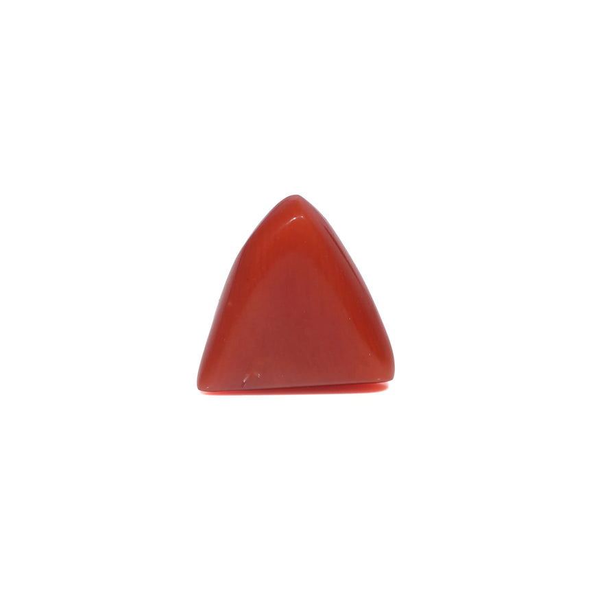 Red Coral - 3.6 Carat
