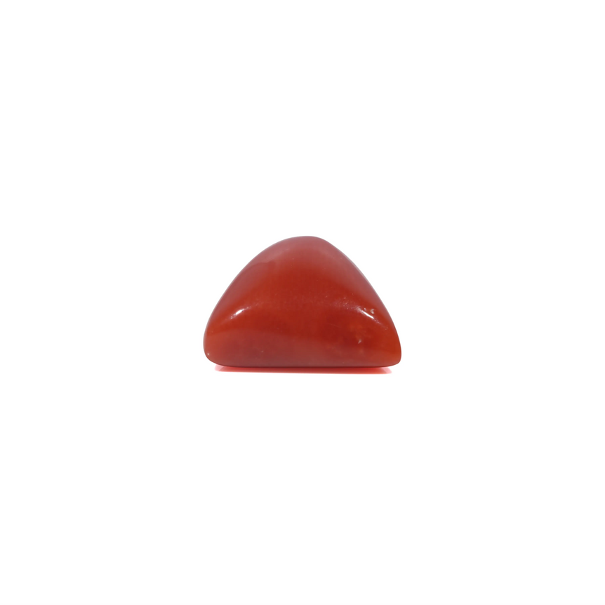 Red Coral - 3.6 Carat