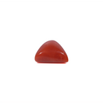 Red Coral - 3.6 Carat