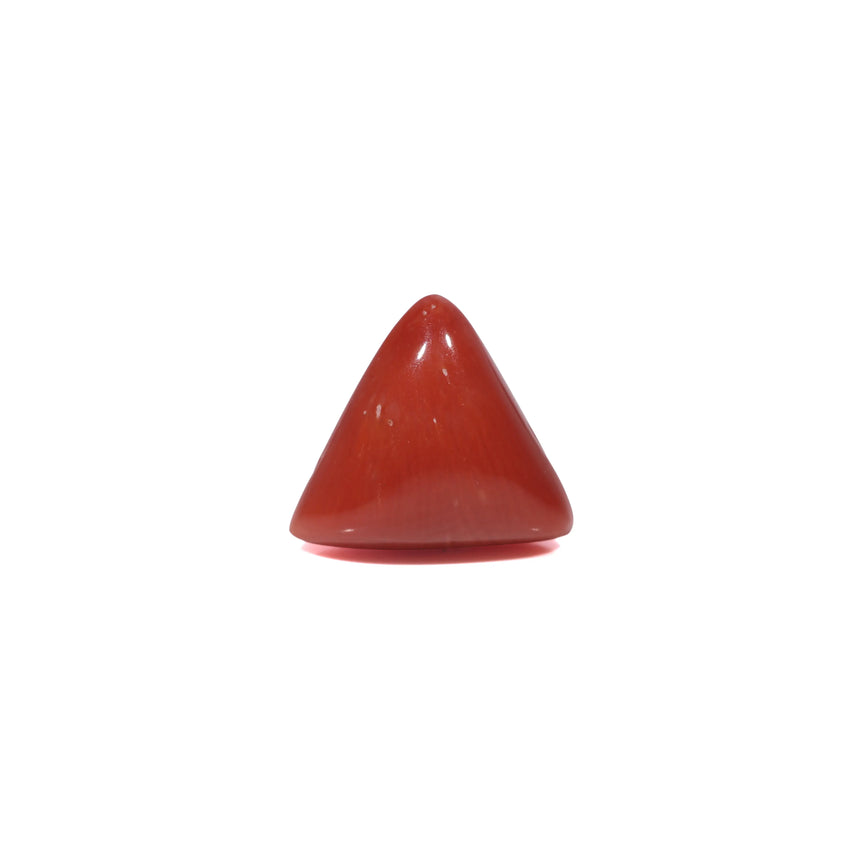 Red Coral - 3.6 Carat