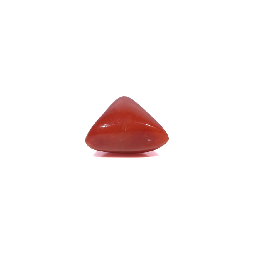 Red Coral - 3.6 Carat
