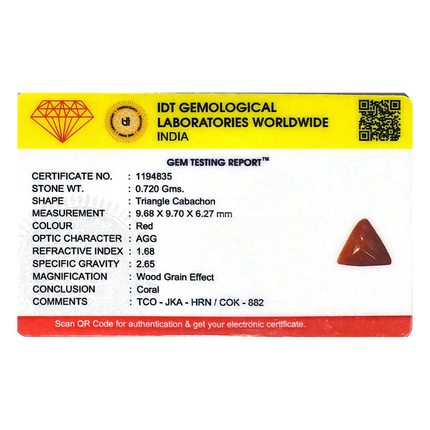 Red Coral - 3.6 Carat