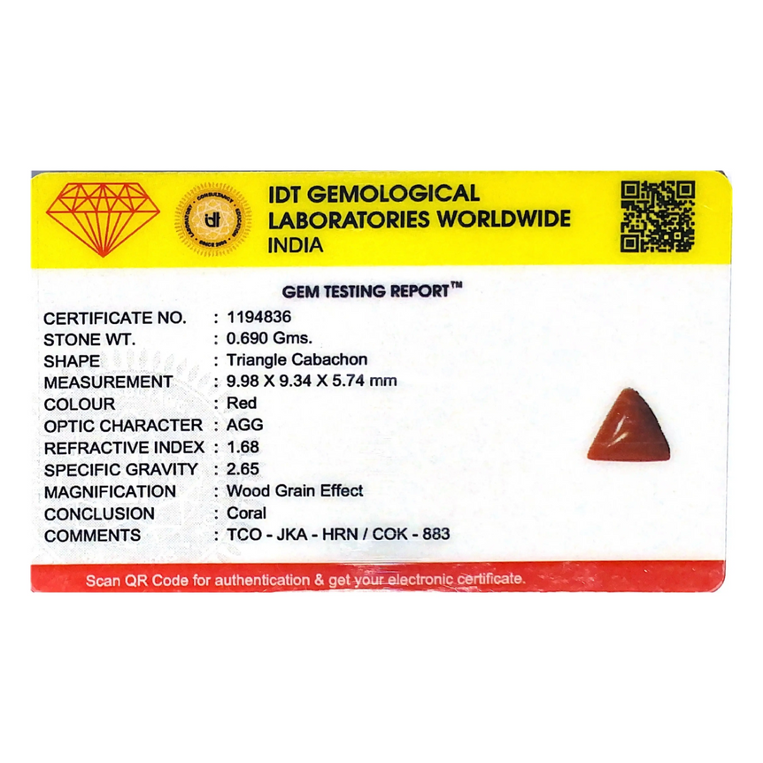 Red Coral - 3.45 Carat