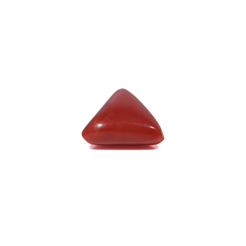 Red Coral - 3.6 Carat
