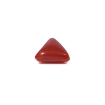 Red Coral - 3.6 Carat