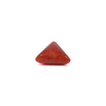 Red Coral - 3.35 Carat