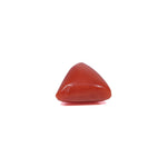 Red Coral - 3.6 Carat