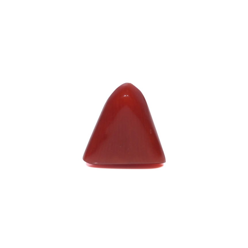 Red Coral - 3.6 Carat
