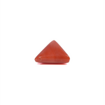 Red Coral - 3.95 Carat