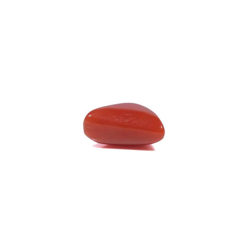 Red Coral - 3.8 Carat