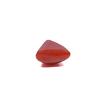 Red Coral - 3.5 Carat