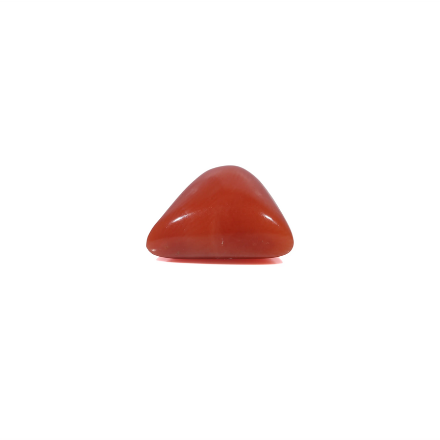 Red Coral - 3.6 Carat