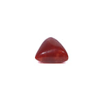Red Coral - 3.6 Carat