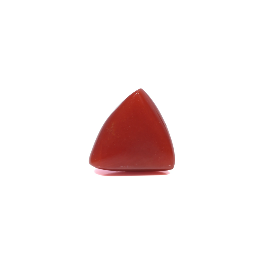Red Coral - 3.8 Carat