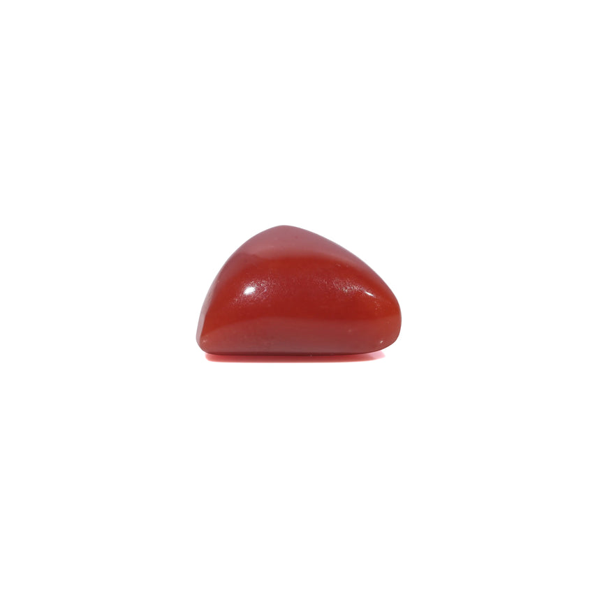 Red Coral - 3.8 Carat