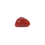 Red Coral - 3.8 Carat