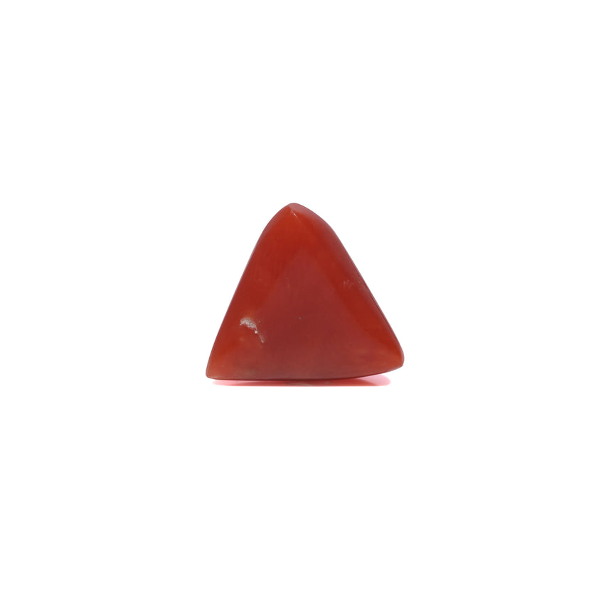Red Coral - 3.5 Carat