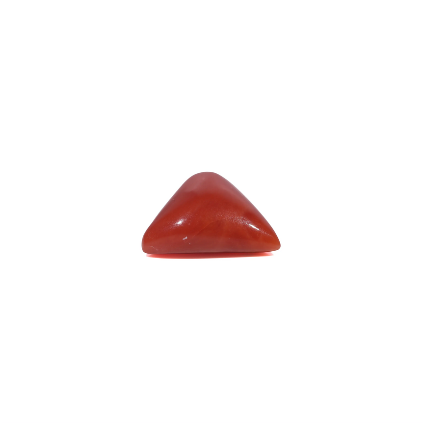 Red Coral - 3.5 Carat
