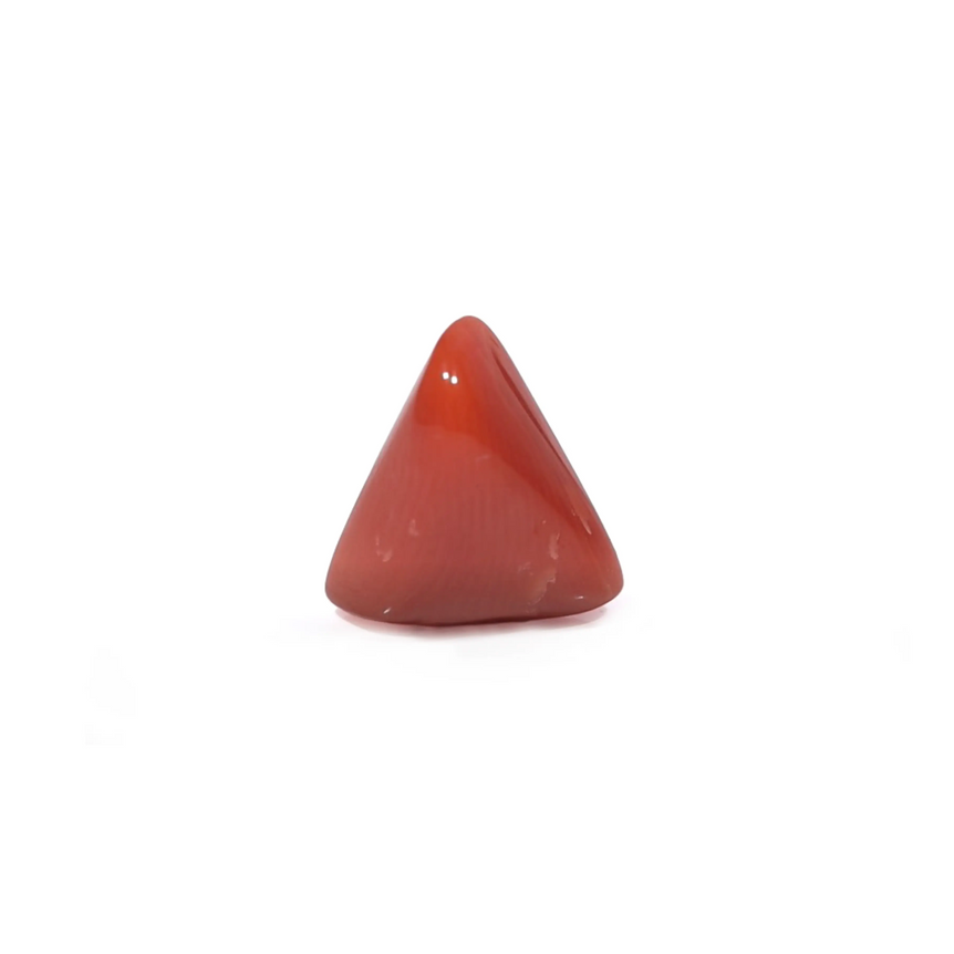 Red Coral - 3.82 Carat